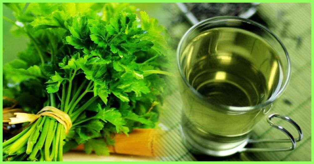 A decoction based on parsley is a medicinal agent for the treatment of prostatitis