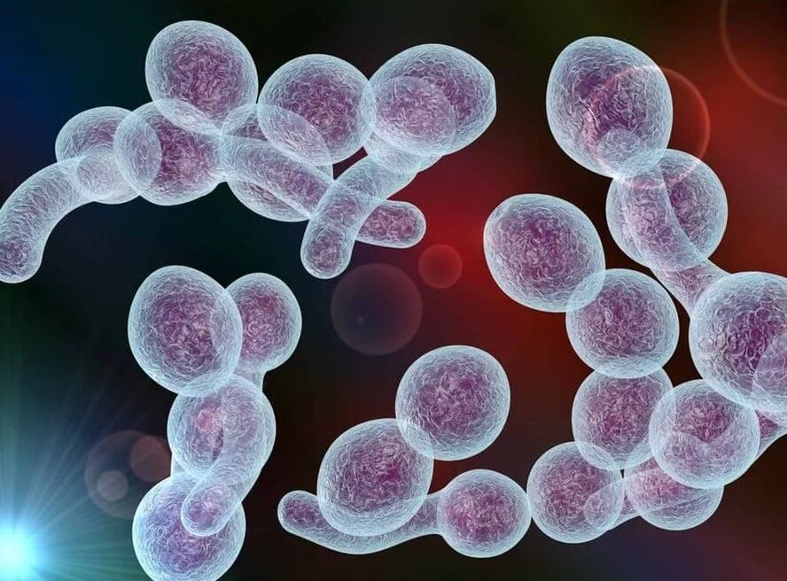 Bacterial prostatitis